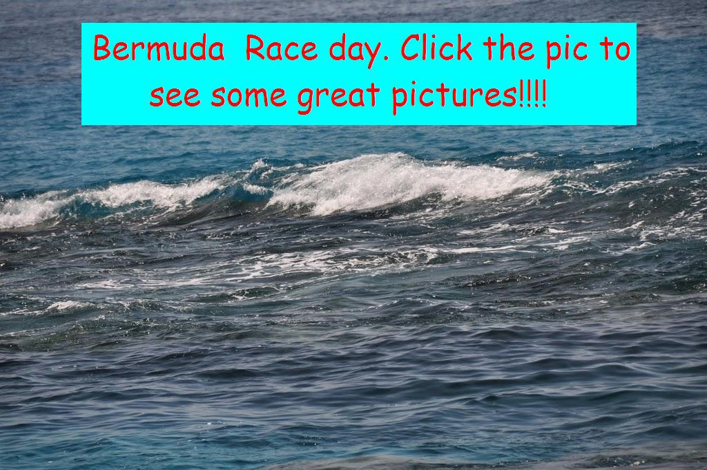 bermuda races